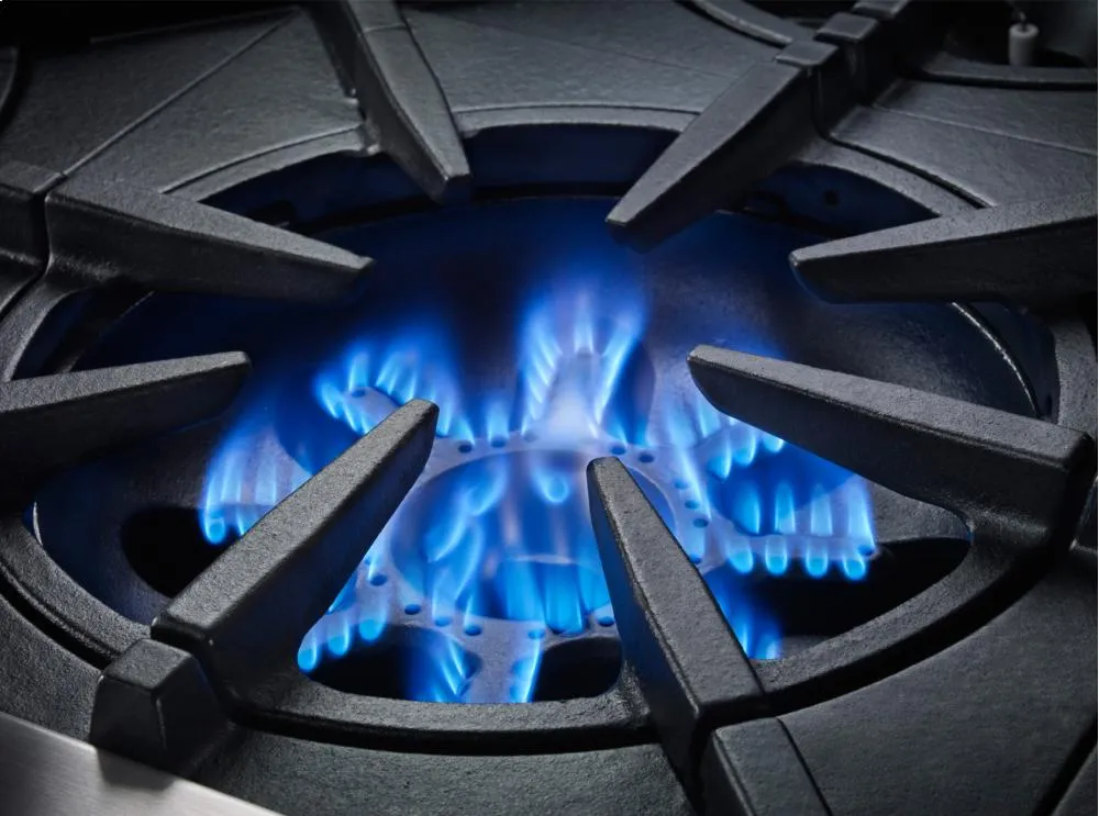 Bluestar BSP488B 48" Platinum Series Range
