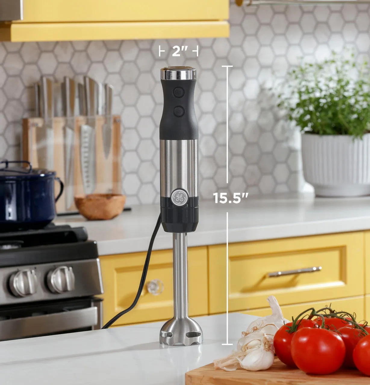 GE Immersion Blender