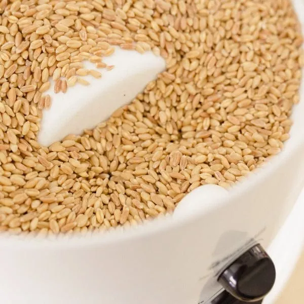 Nutrimill Classic Grain Food Mill 760200 - Out of Stock - So Easy 12 Cups of Grain Gives you 20 Cups of FRESH Flour!