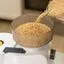 Nutrimill Impact Grain Mill - Compact & High Speeds - ETA May - Accepting Pre-Orders!