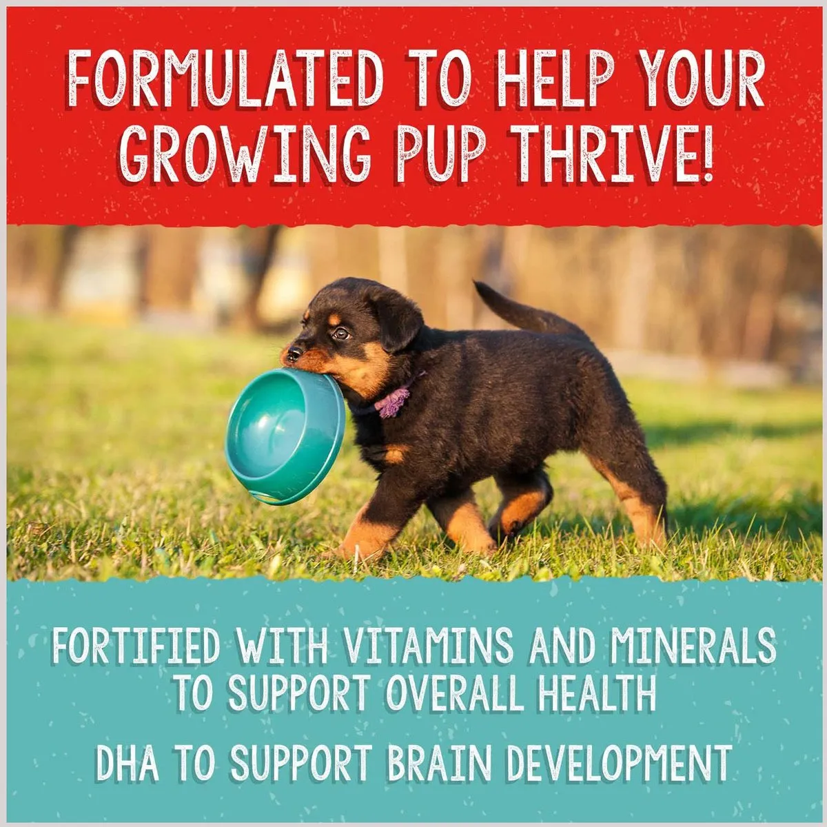 Stella & Chewy's Freeze Dried Raw Meal Mixers Grain Free Beef and Salmon Puppy Food Topper