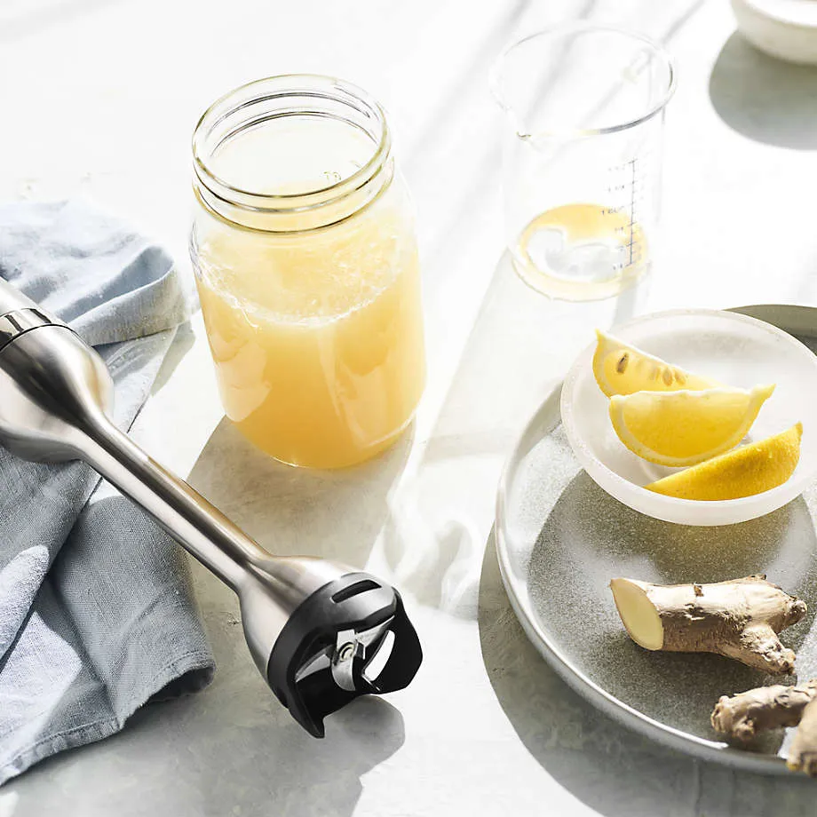 Vitamix Immersion Blenders Bundles